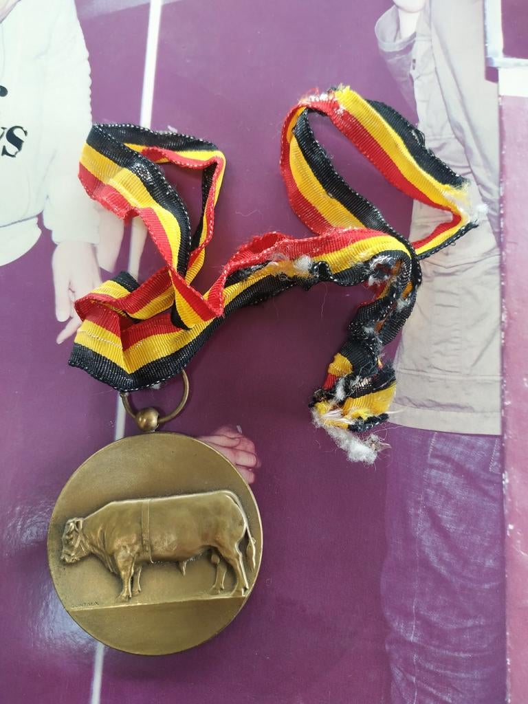 Médaille décoration taureau boeuf syndicat ghislenghien 1980, Enlèvement ou Envoi, Bronze