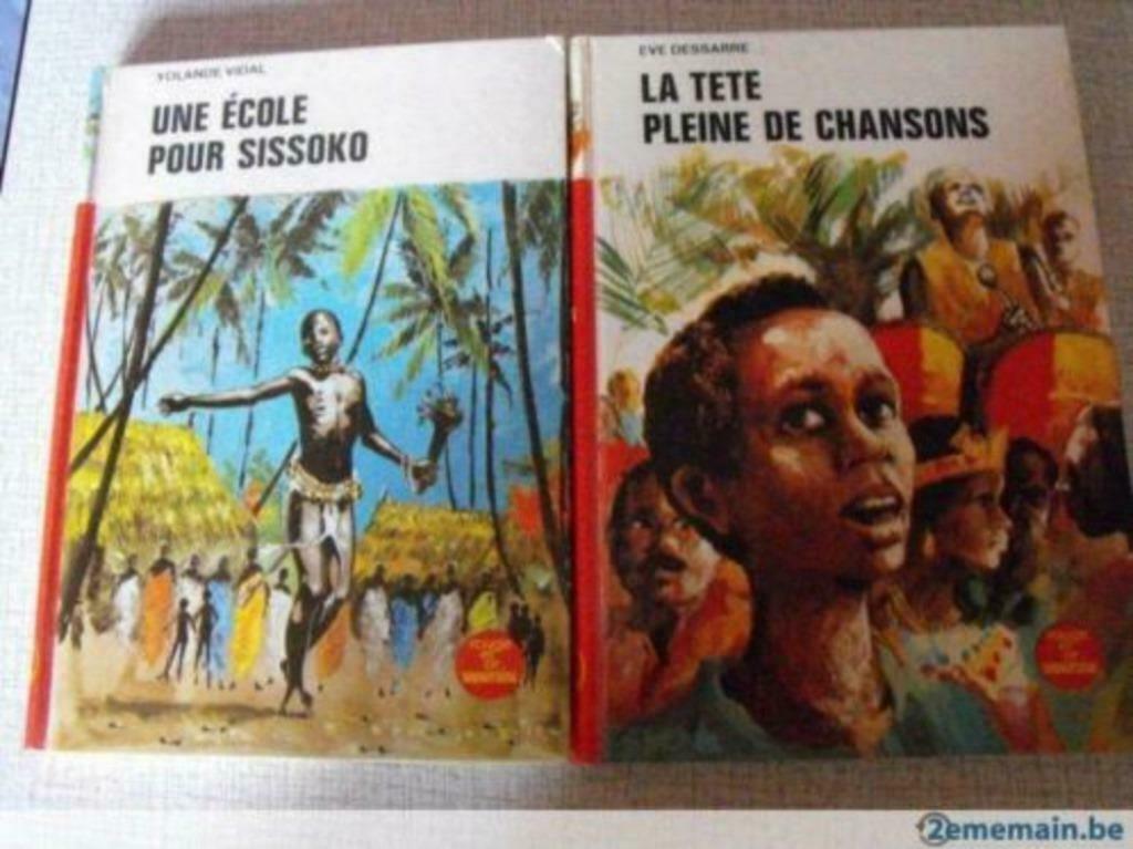 2 Livres Ado, Livres, Enlèvement ou Envoi