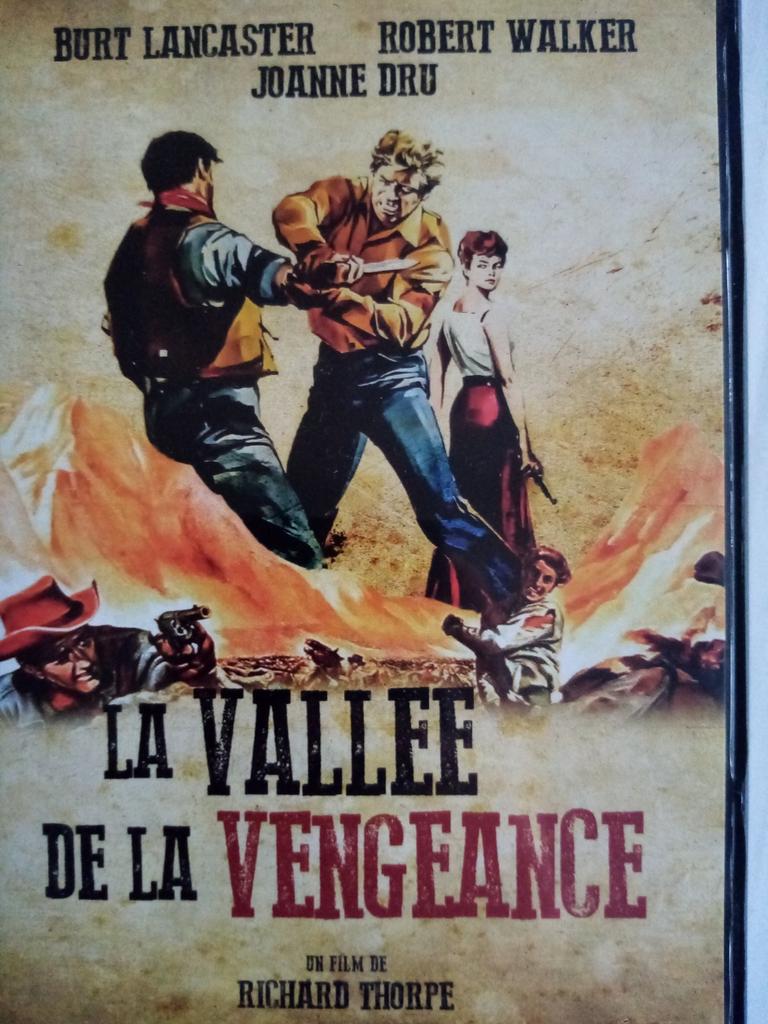 La vallée de la vengeance / DVD, Enlèvement ou Envoi