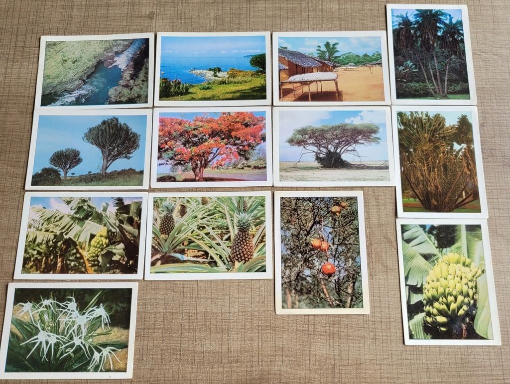 20 oude prenten: Côte d'Or reeks Faunaflor Congo, Verzamelen, Ophalen of Verzenden, Gebruikt, Natuur, Prent