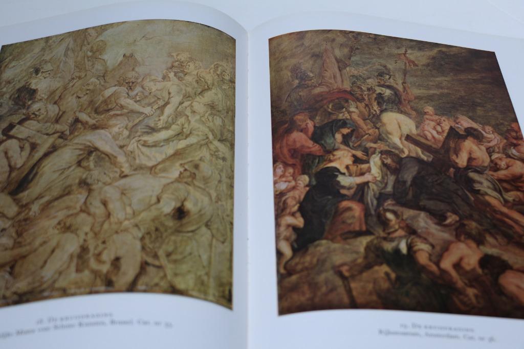 Olieverfschetsen van Rubens: prachtig, zeer interessant boek, Ophalen of Verzenden, Zo goed als nieuw, Schilder- en Tekenkunst