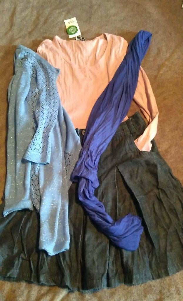 Set jeans rok met nieuwe longsleeve, trui en sjaal, Kleding | Dames, Ophalen of Verzenden, Maat 38/40 (M), Blauw