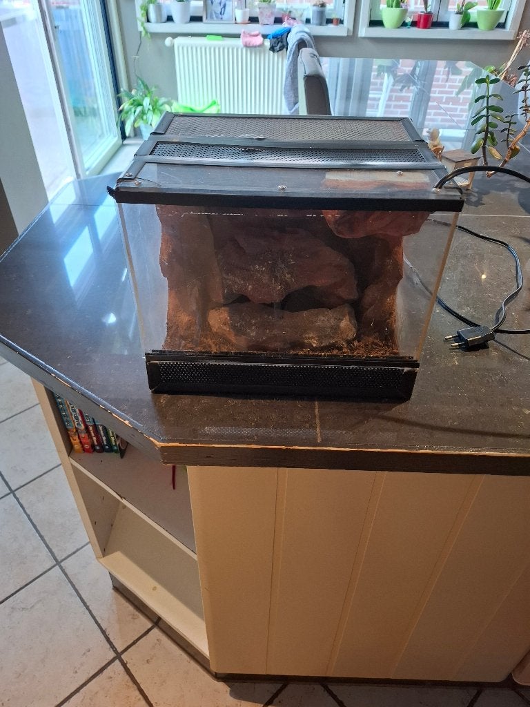 Terrarium, Dieren en Toebehoren, Ophalen, Gebruikt