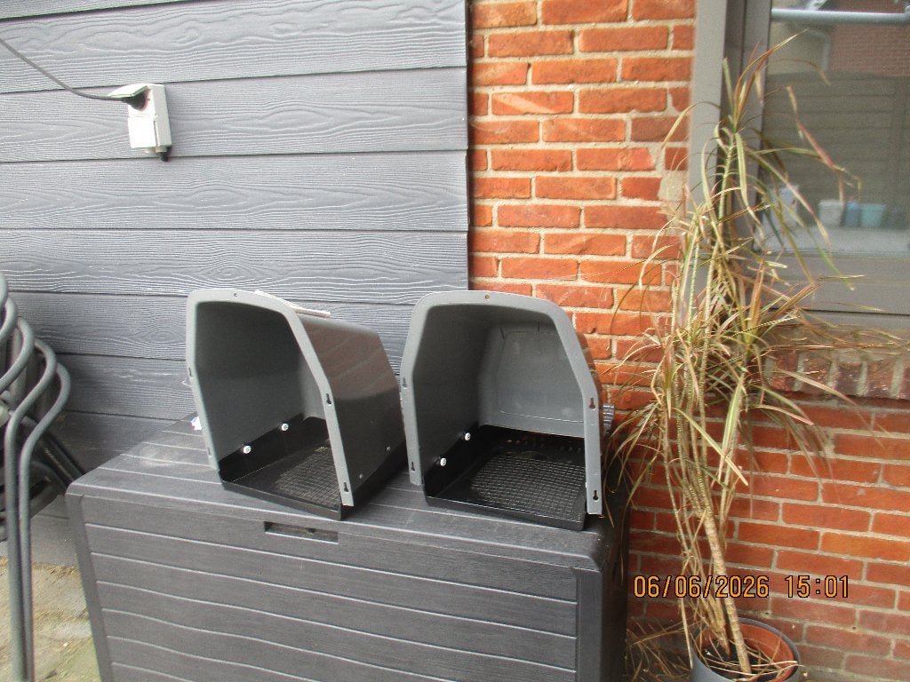 legbak kip, Dieren en Toebehoren, Kip