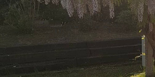 Gratis aarde te scheppen, Enlèvement, Terre pour jardin