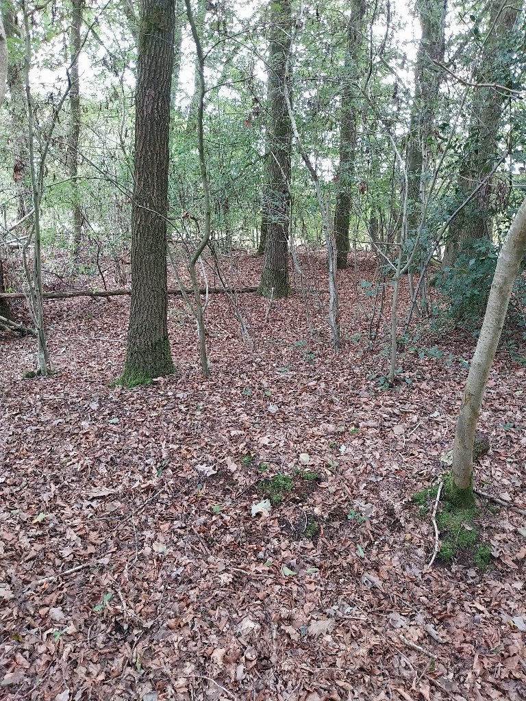 stukje  natuurgrond Te Koop, Immo, Oudsbergen, Verkoop zonder makelaar, 1000 tot 1500 m²