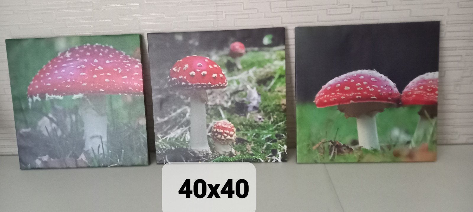 leuke canvas schilderijtjes, Huis en Inrichting, Ophalen