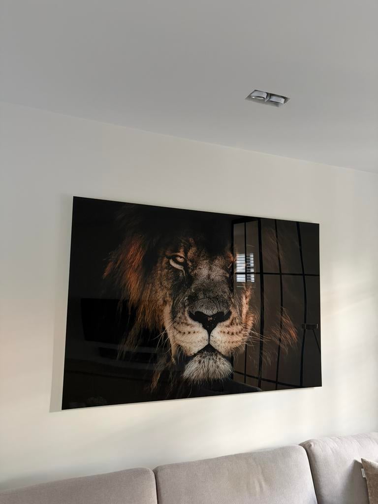 Lion Intense Plexiglas 1,80 x 1,20 meter, Antiek en Kunst, Ophalen