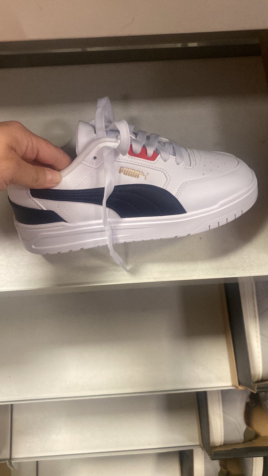 Mooıe snakers puma, Ophalen, Nieuw