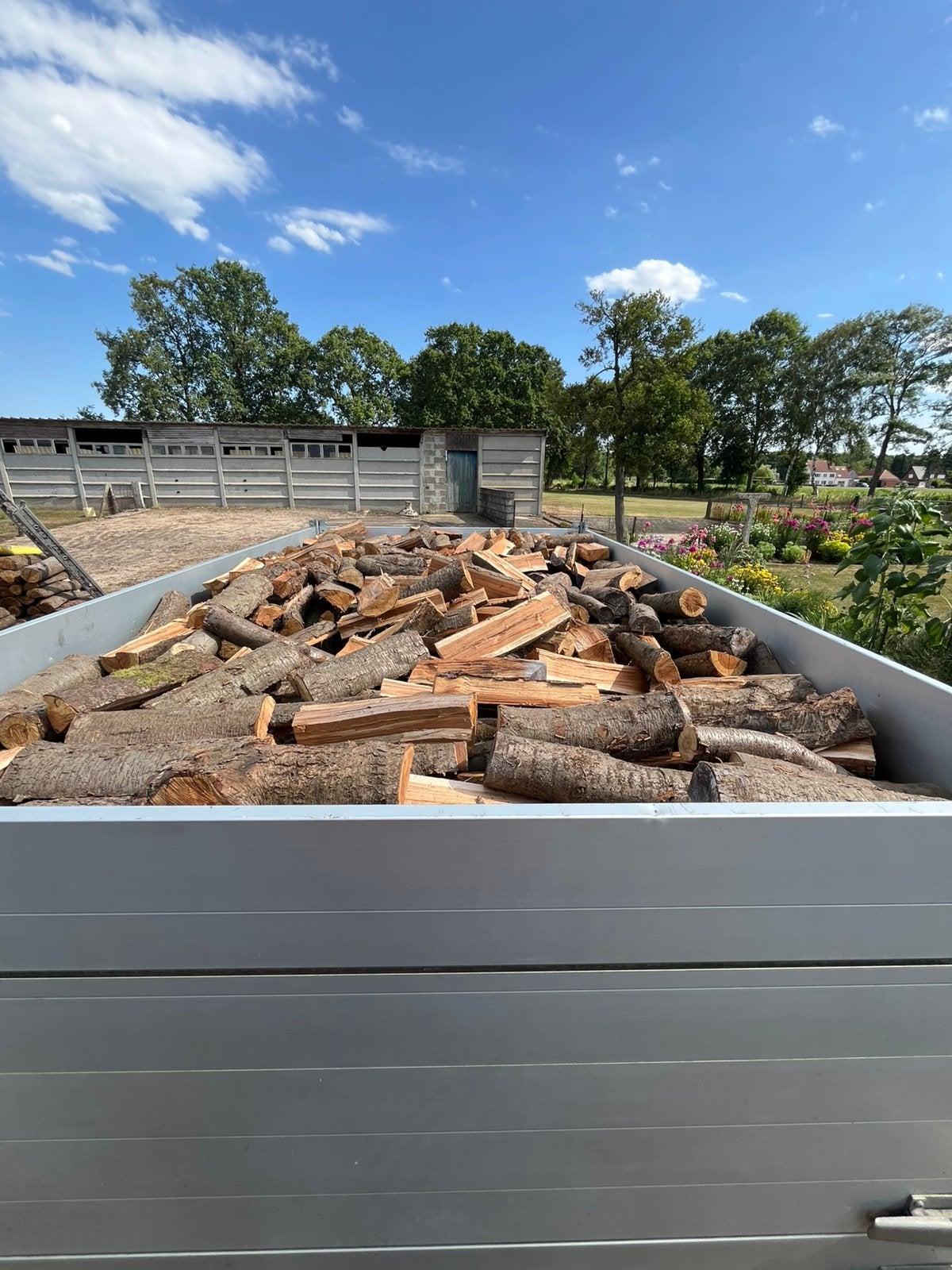 Gekloven Vogelkers DROOG, 6 m³ ou plus, Enlèvement, Autres essences de bois, Troncs d'arbres