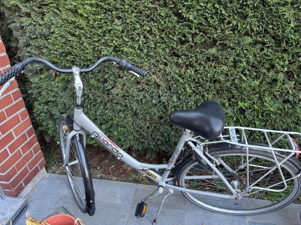 Damesfiets, Fietsen en Brommers, Ophalen, Gebruikt, Schijfrem, Versnellingen