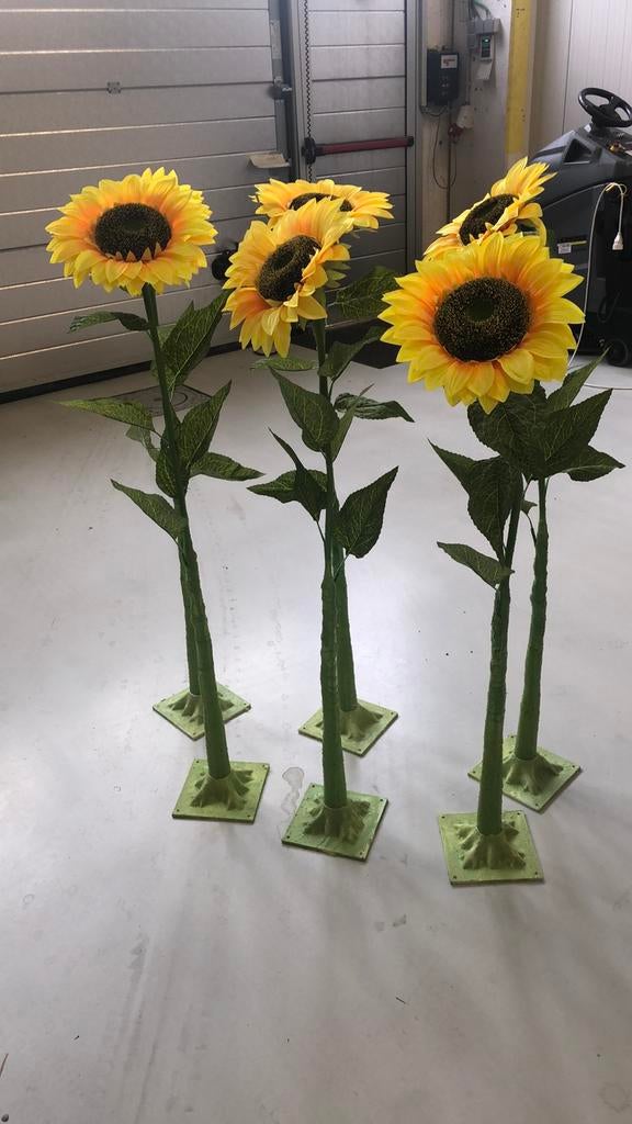 Zonnebloemen, Enlèvement ou Envoi, Comme neuf