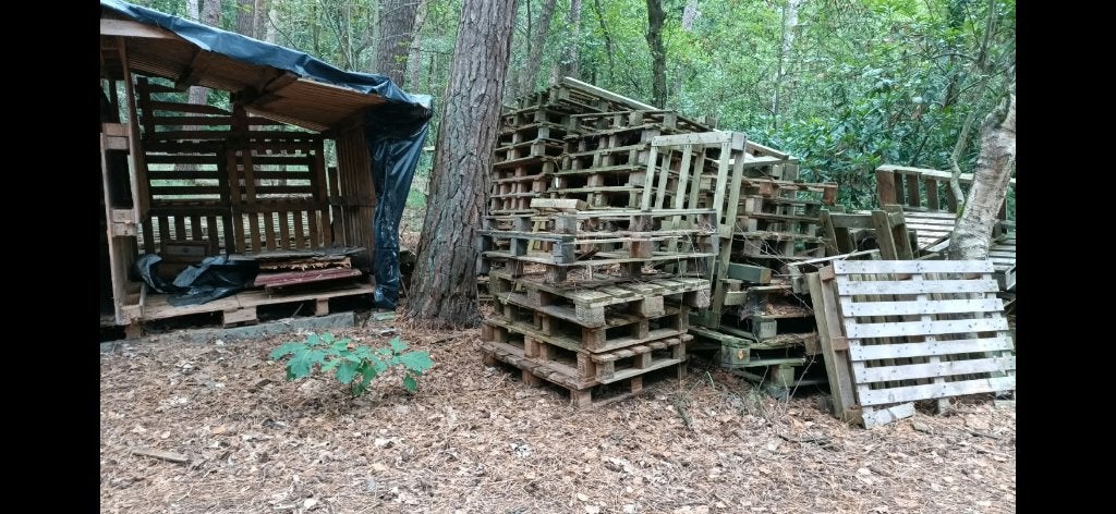 Gratis palletten, Enlèvement, Palette