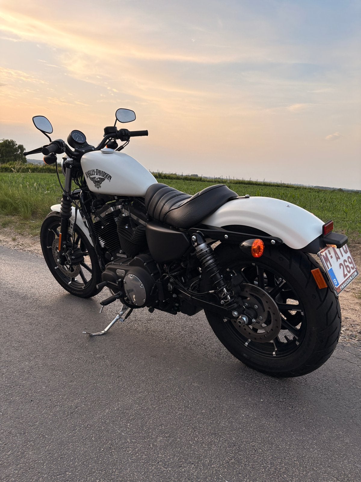 harley davidson sportster xl883, Motoren, Motoren | Harley-Davidson, 2 cilinders, Chopper, Particulier, Meer dan 35 kW