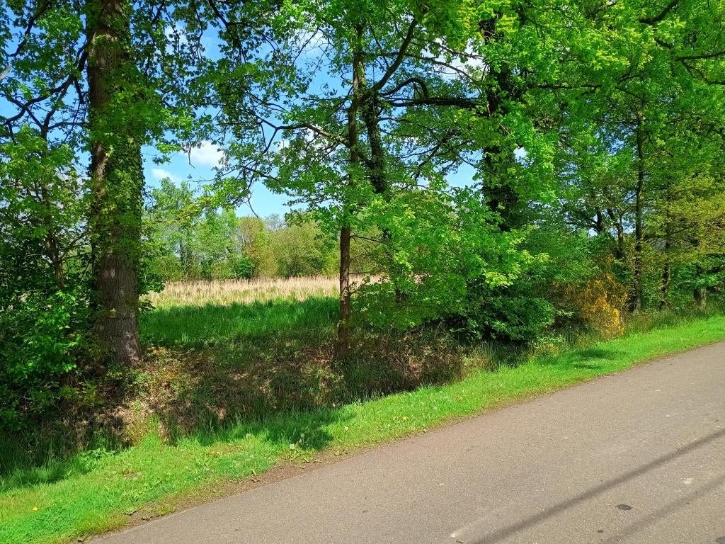 Prachtige landbouwgrond, Linkhout-Lummen, Verkoop zonder makelaar, 1500 m² of meer