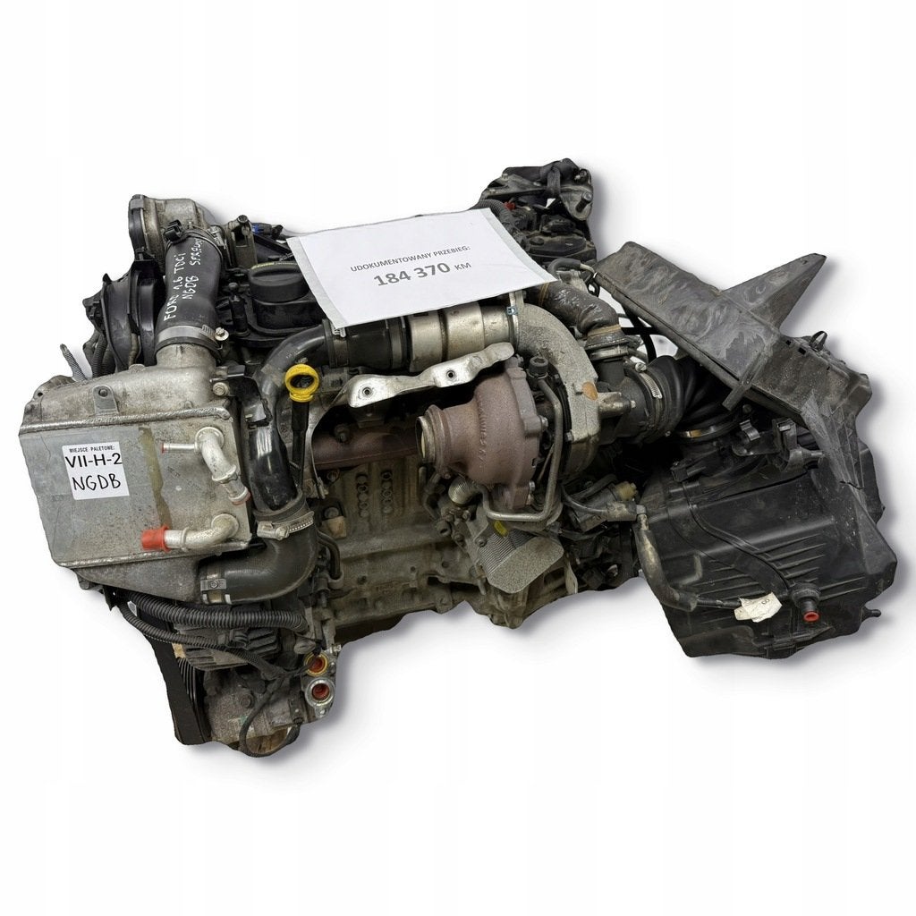 Moteur NGDB Complet FORD FOCUS