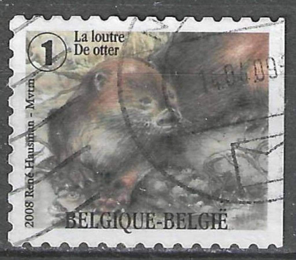 Belgique 2008 - Yvert 3821 /OBP 3840 - Mustelids (ST), Envoi, Affranchi, Oblitéré