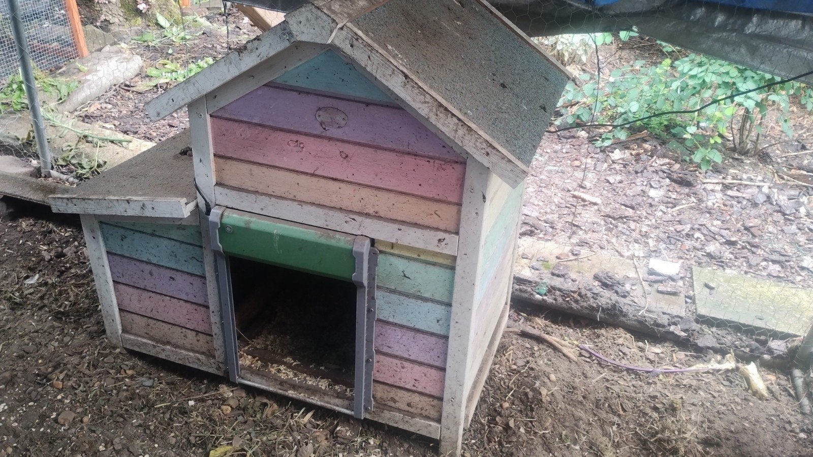 Leuk kippenhok met automatisch deurtje, Dieren en Toebehoren, Ophalen