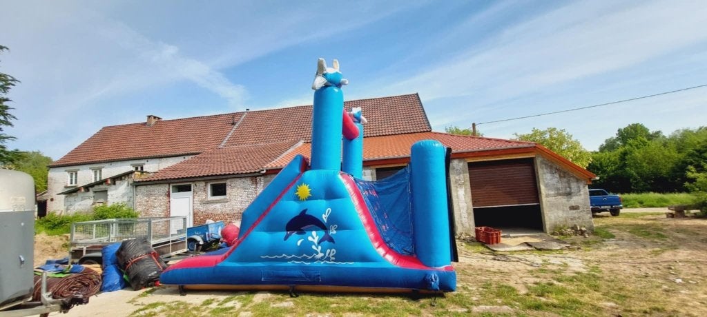 LOCATION: Château gonflable Dauphin Toboggan, Enlèvement, Comme neuf