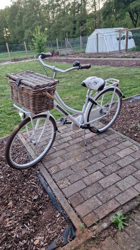 Meisjesfiets Sparta Pickup 26 inch, 3 versnellingen inbouw, Fietsen en Brommers, Ophalen, Versnellingen