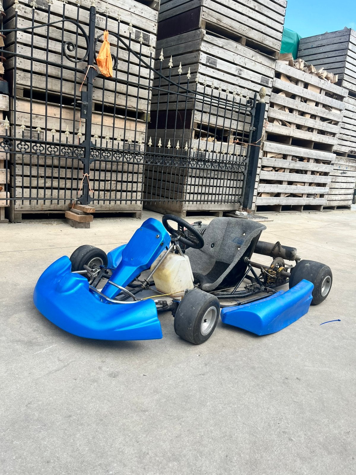 Kart met gereviseerde 100cc rotax, Enlèvement, Utilisé, Kart