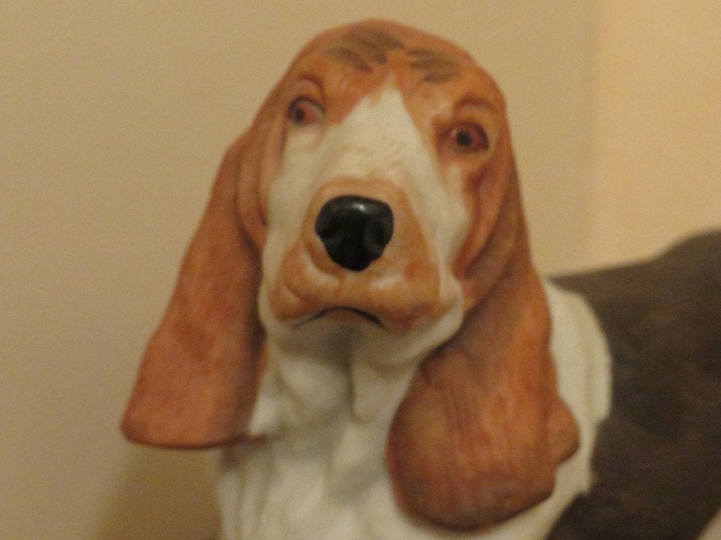 Beeld hond, Verzamelen, Ophalen