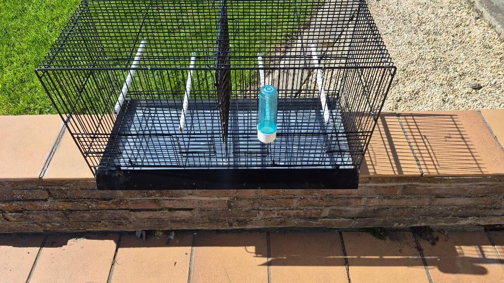 vogelkooien als nieuw, Enlèvement, Comme neuf, Métal, Cage d'élevage