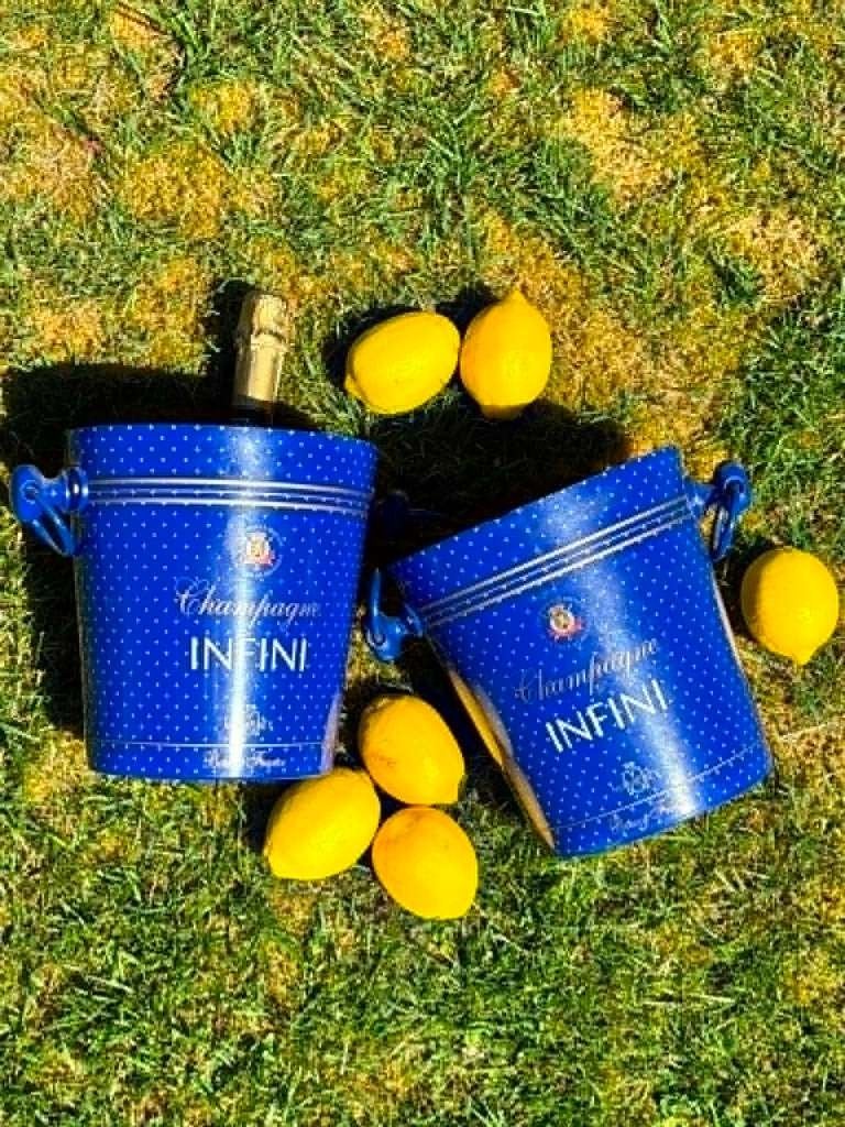 Unieke Vintage   ijs emmers, Verzamelen, Wijnen, Ophalen of Verzenden, Gebruikt, Champagne