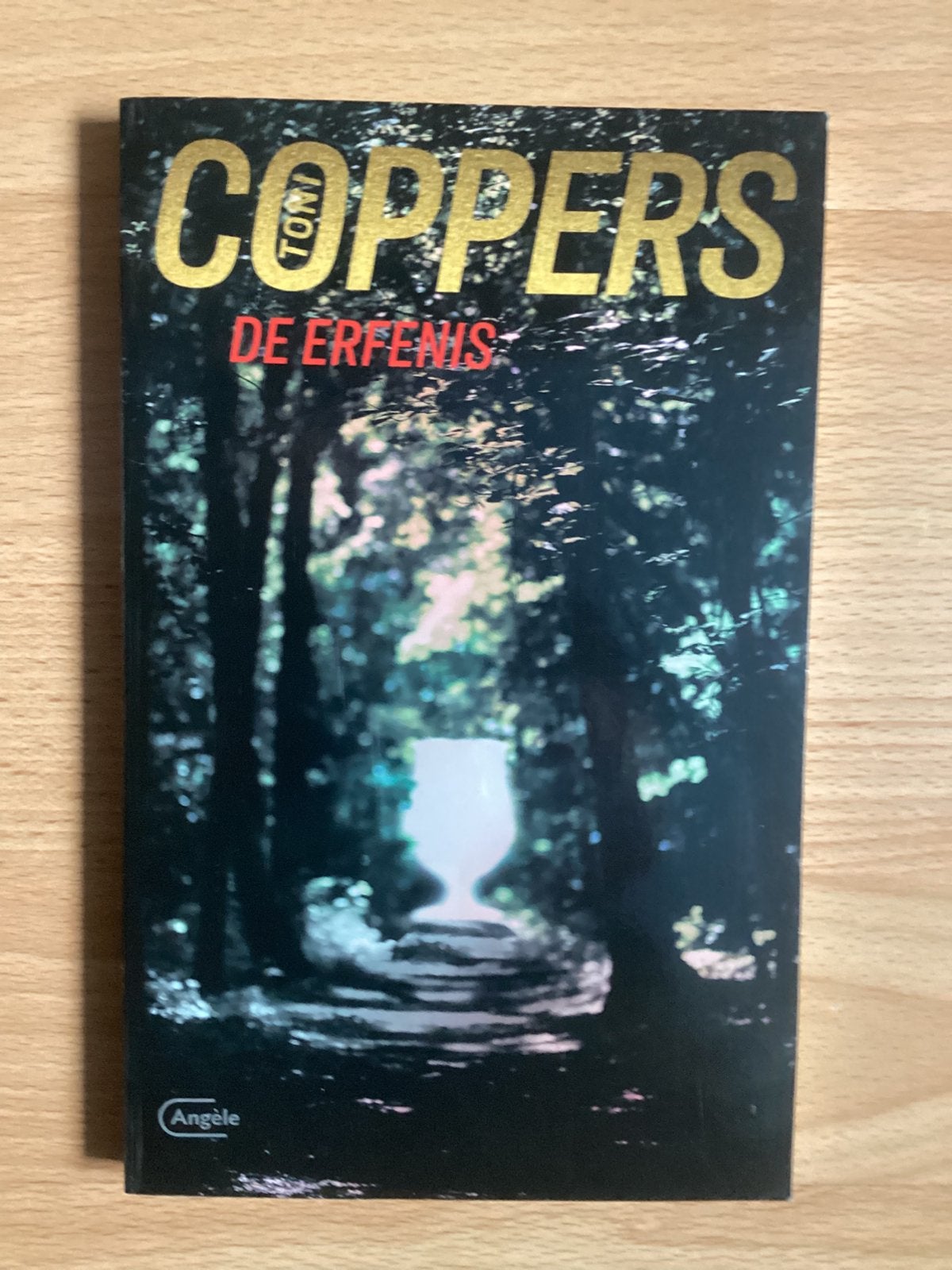 Boek De Erfenis Toni Coppers, Boeken, Ophalen of Verzenden