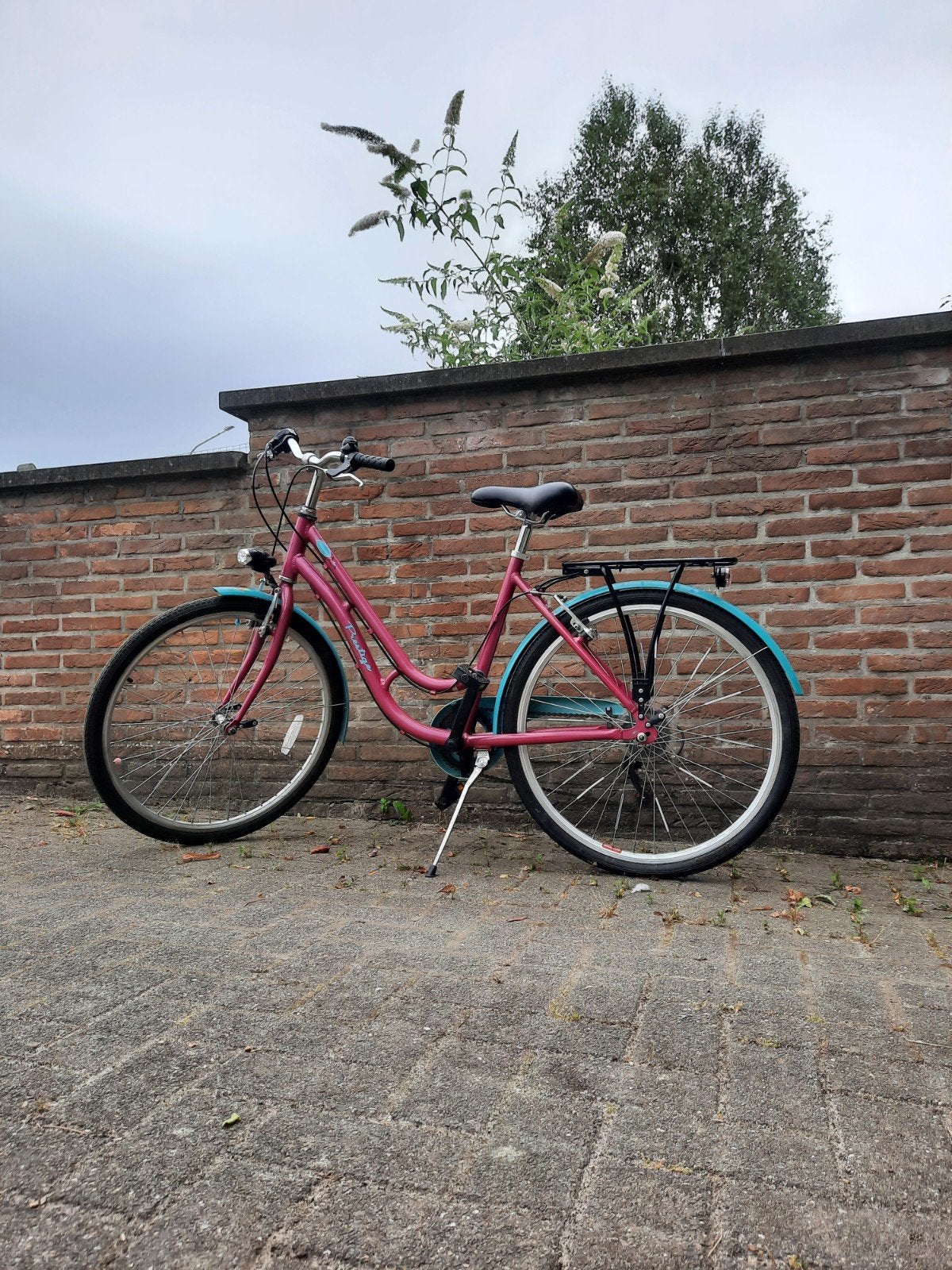 Kinderfiets, Prestige, model Princess, 26", Ophalen, 26 inch of meer, Prestige, Versnellingen