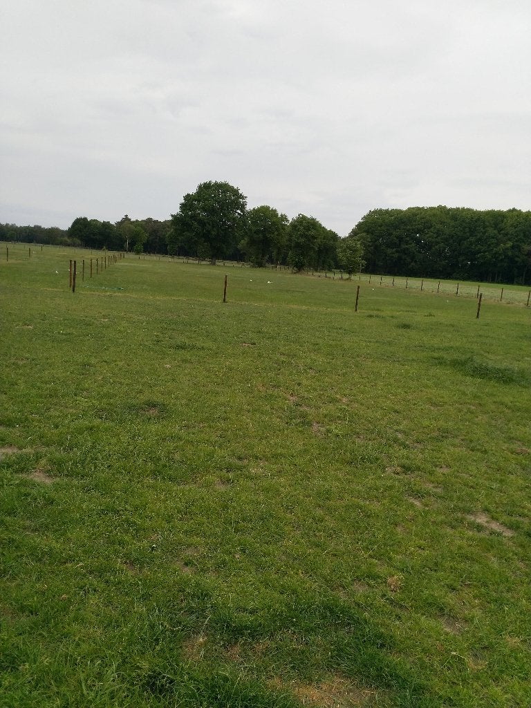 Paarde weide te huur met stalling, Stalling, 1 paard of pony