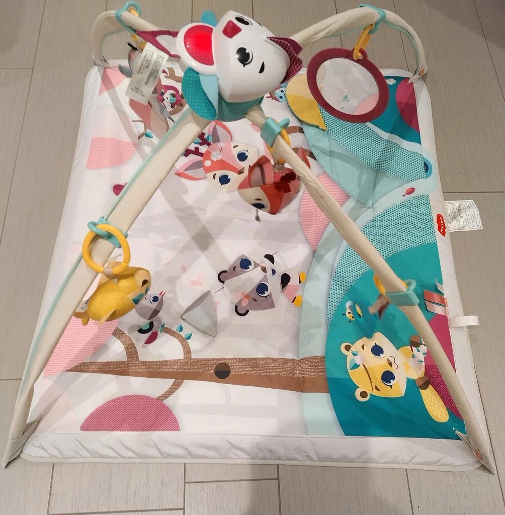 Tapis de jeu ou cadeau pour bébé Tiny Love Gimini Deluxe, Enfants & Bébés, Enlèvement ou Envoi