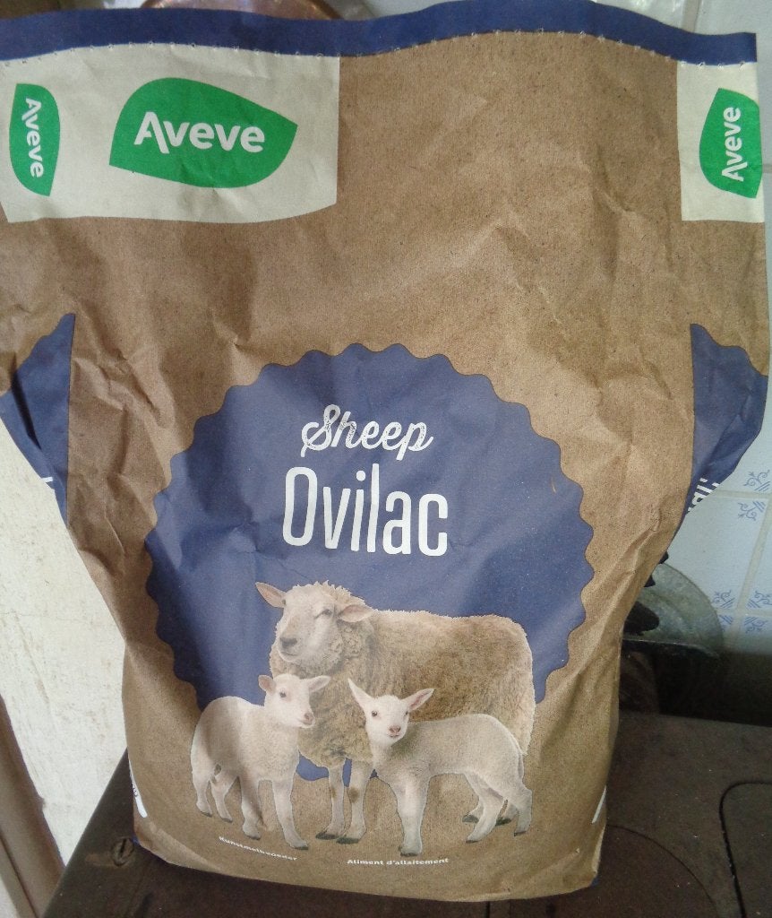 Lait d'agneau en poudre, Mouton, 0 à 2 ans