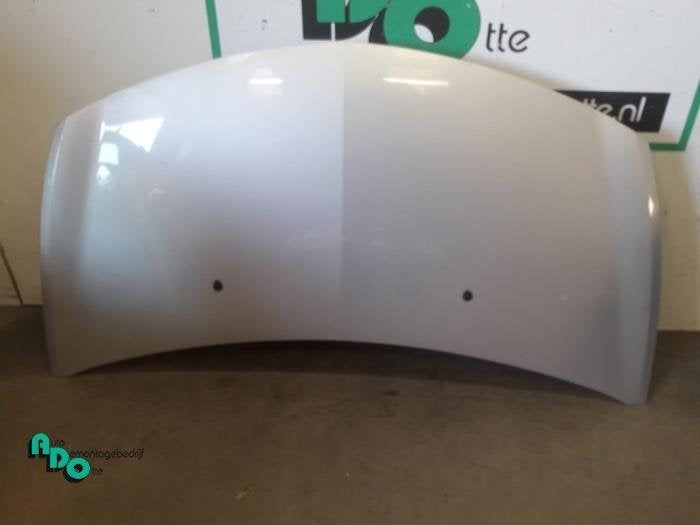 Motorkap van een Renault Clio (Clio 3 06-) (TED69), Auto-onderdelen, Gebruikt, -, Renault, -