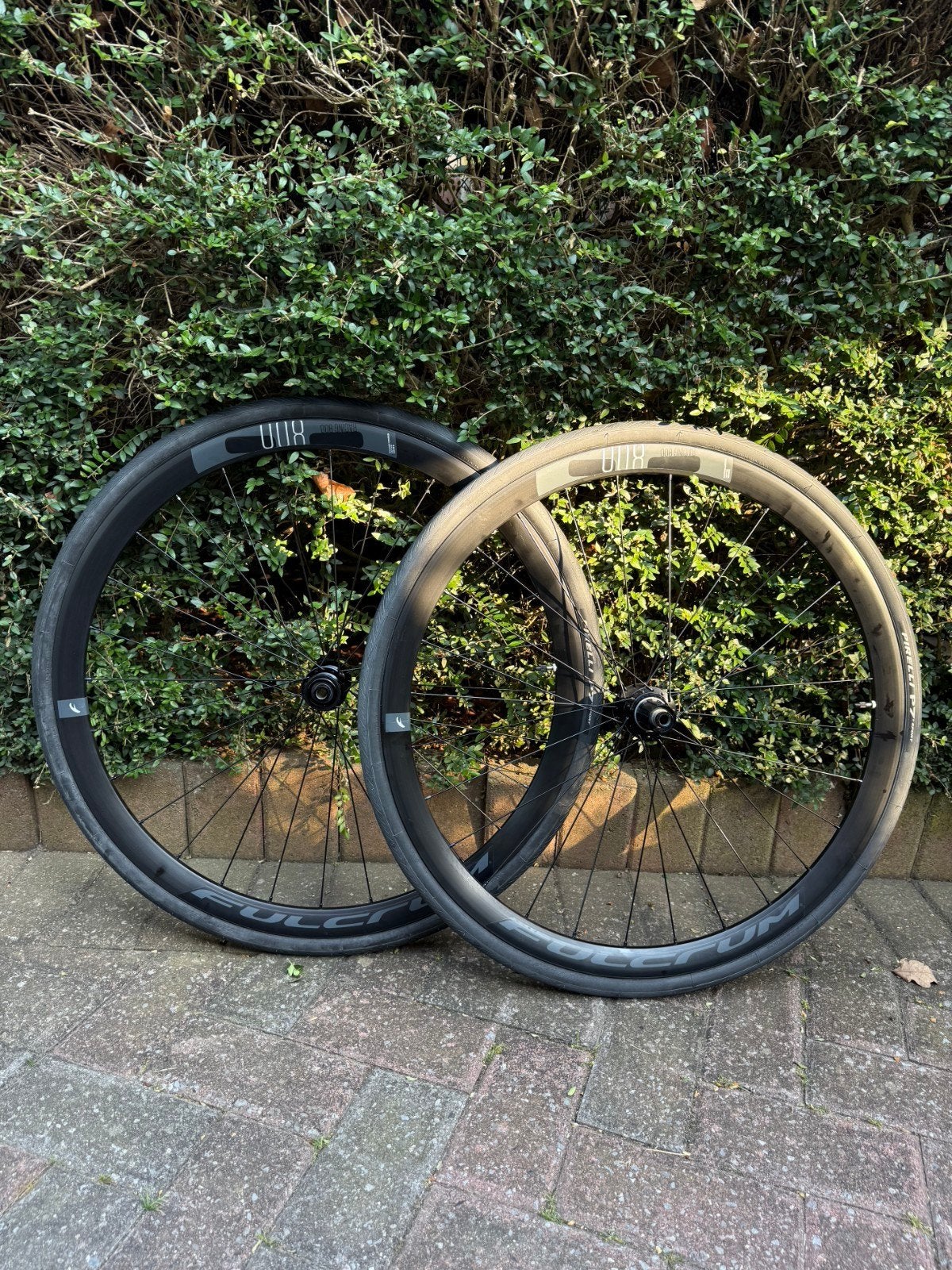 Fulcrum Racing 800 DB + Pirelli P7 Sport 700 x 32c, Neuf, Fulcrum Pirelli, Enlèvement ou Envoi, Homme ou Femme