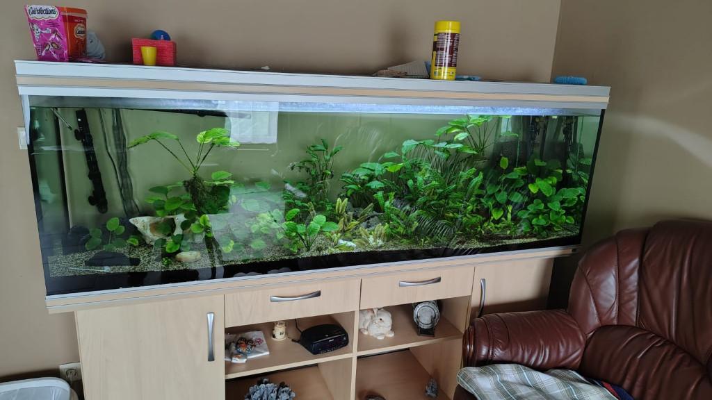 Aquarium 2m, Aquarium vide, Enlèvement, Utilisé, Chauffage