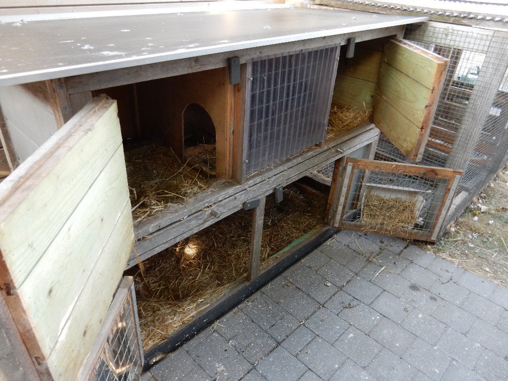 Konijnenhok, Dieren en Toebehoren, Ophalen, Hok
