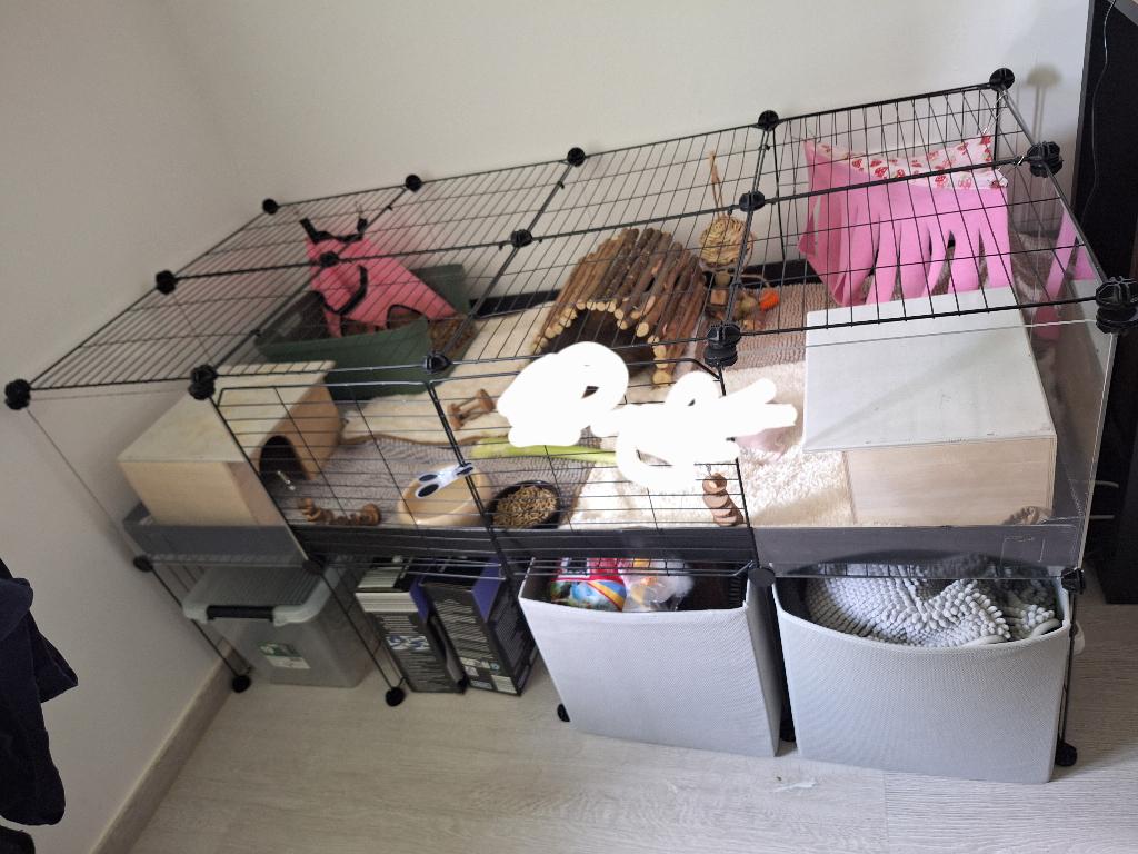 Kavee cage ! Accessoires, Animaux & Accessoires, Cobaye, Comme neuf, Enlèvement, Enclos