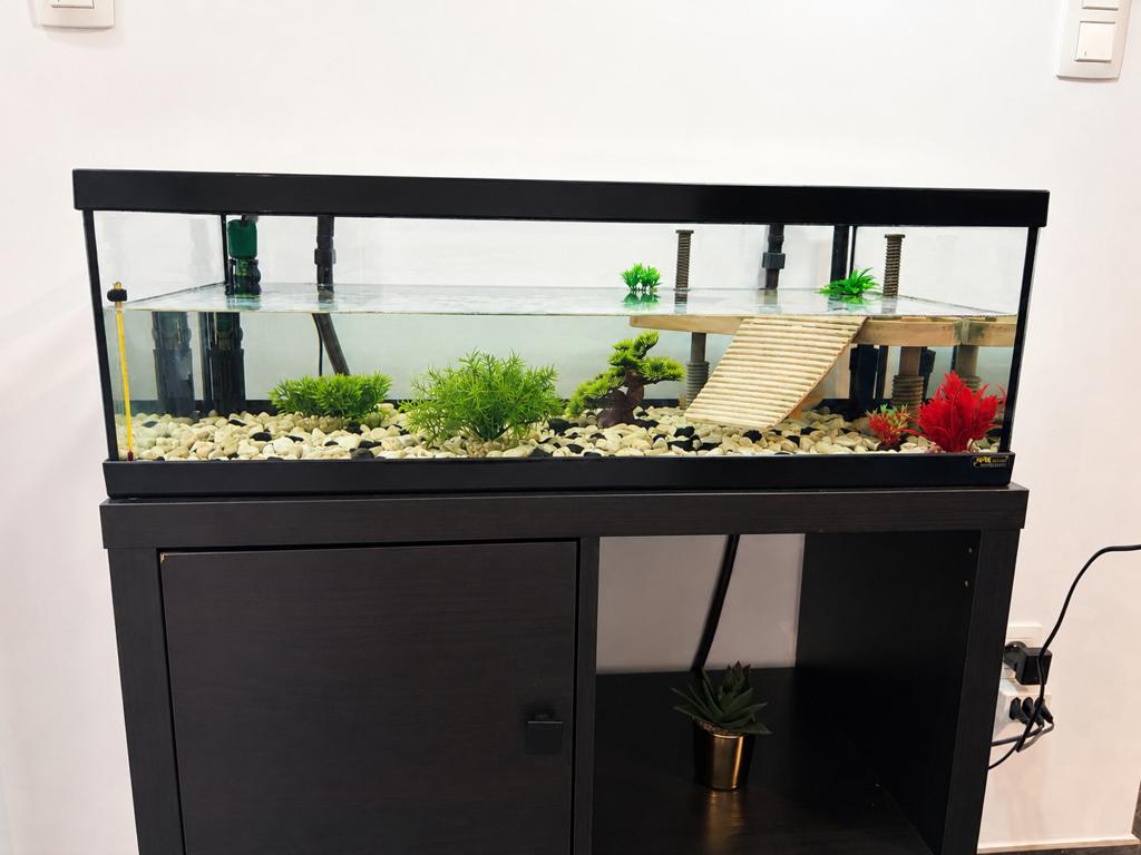 Aquarium tortue/poisson, Animaux & Accessoires, Enlèvement, Chauffage, Comme neuf, JBL