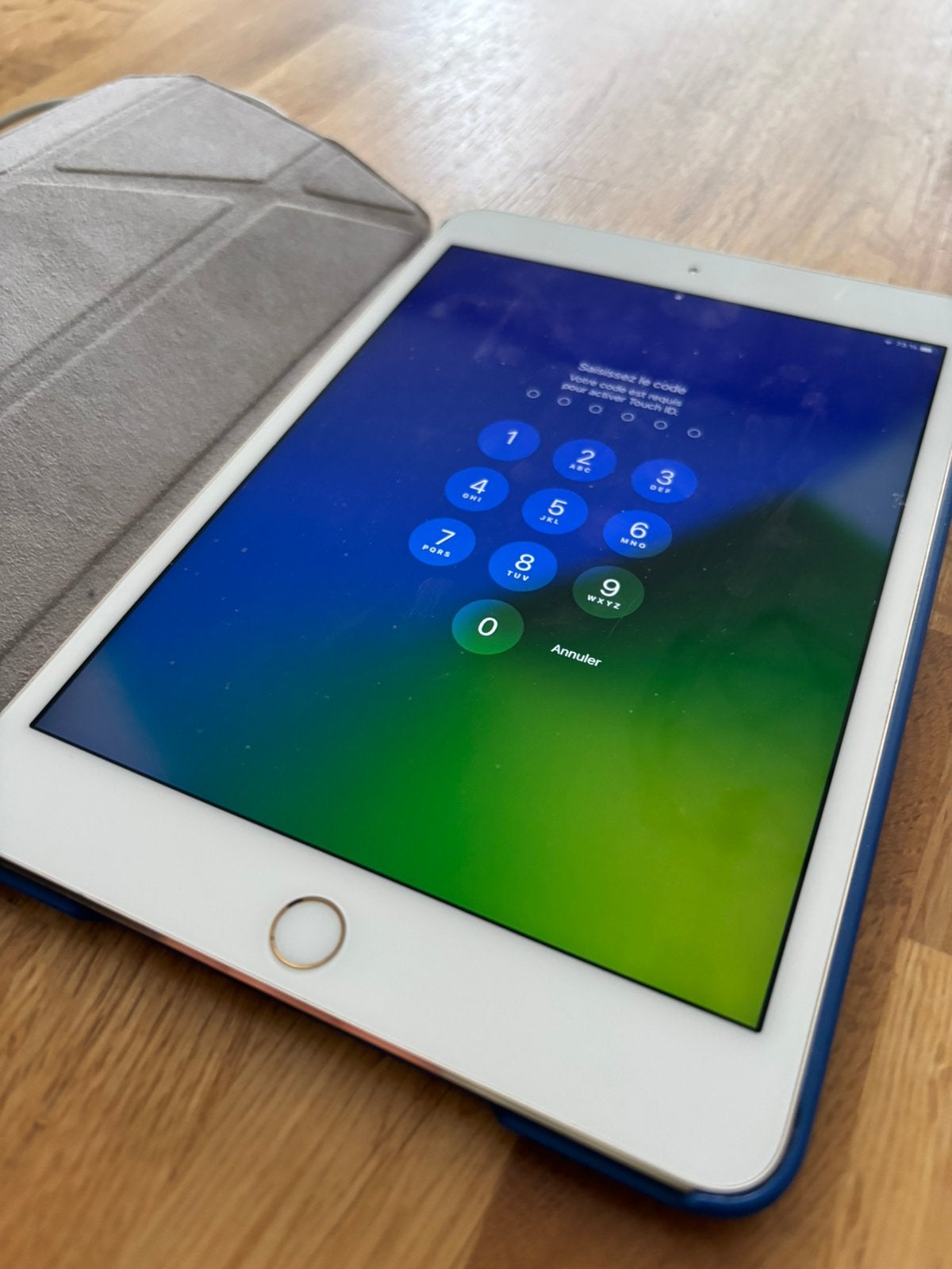 iPad mini 4 — 16 Go, Wi‑Fi, rose gold + Smart Cover+chargeur, Computers en Software, Ophalen of Verzenden, Zo goed als nieuw