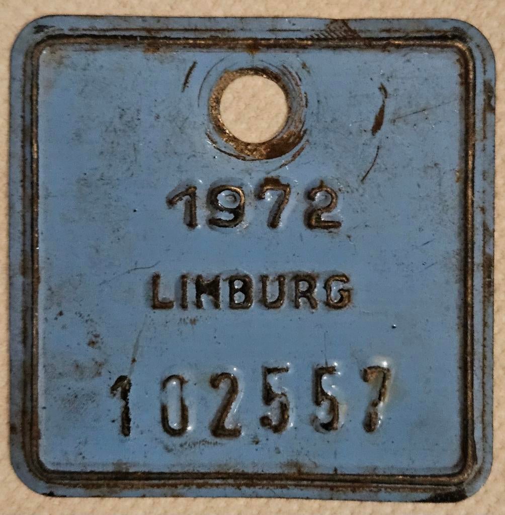Plaque de branchement de vélo Limburg 1972 102557
Cet objet, Enlèvement ou Envoi