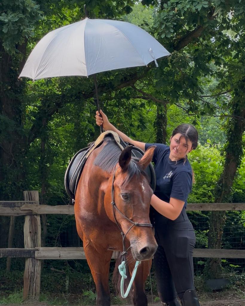 Zadelmak maken, doorrijden, training, Dieren en Toebehoren, Zadelmak
