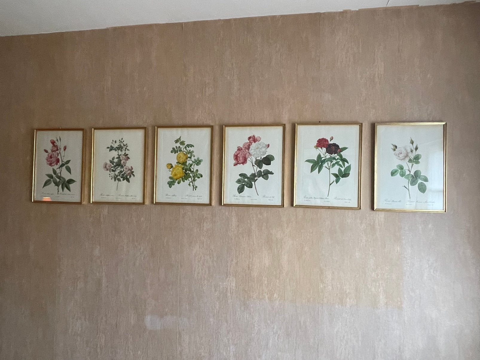 6 goudkleurige kaders met bloemenprenten, Ophalen, Gebruikt, Goud