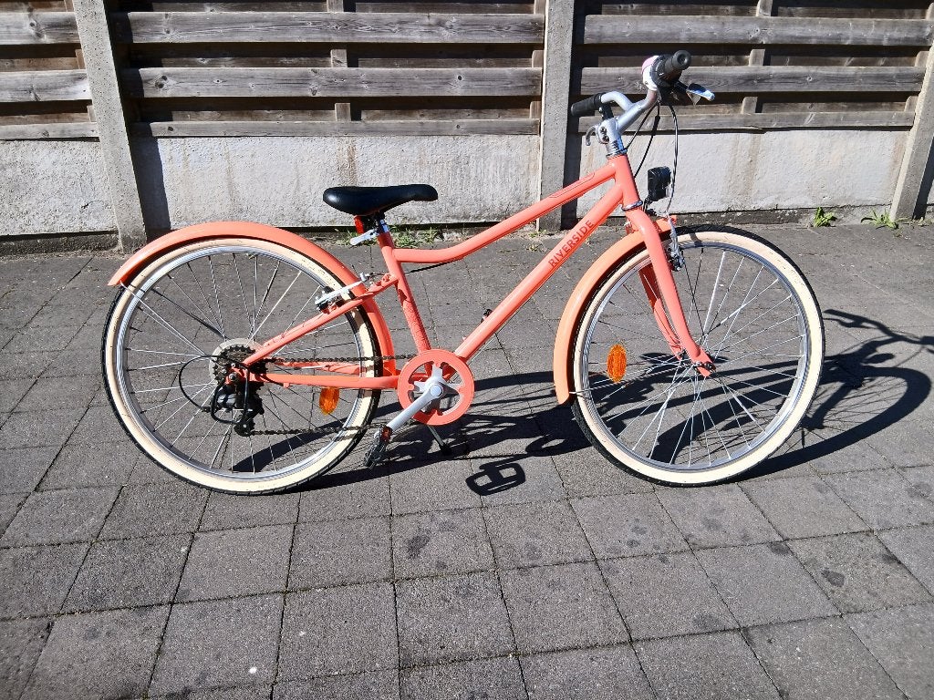 Zalmroze, Ophalen, 24 inch, Velgrem, Versnellingen