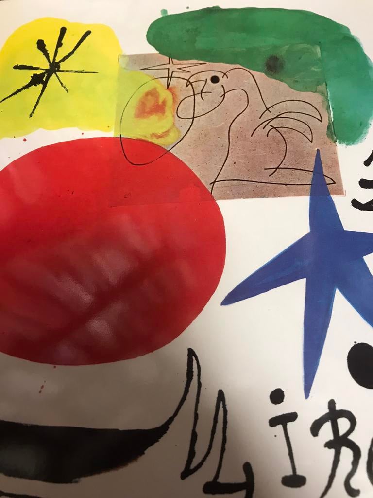 Joan Miro Peintures Dessins Sculptures 250pag, Ophalen of Verzenden, Zo goed als nieuw, Schilder- en Tekenkunst