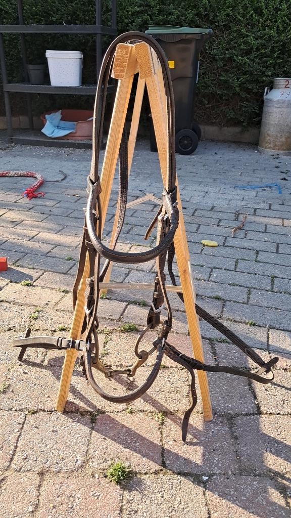 Kopstuk paard, Enlèvement, Utilisé, Récréation