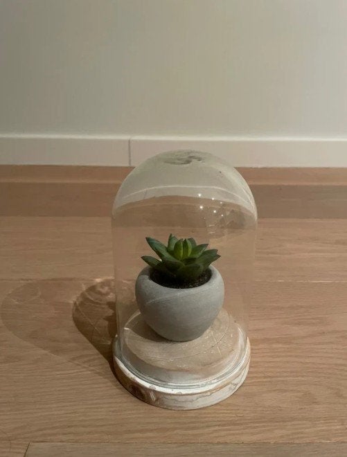 Stolp met kunststof plant Maison du Monde, Enlèvement ou Envoi, Comme neuf, Verre