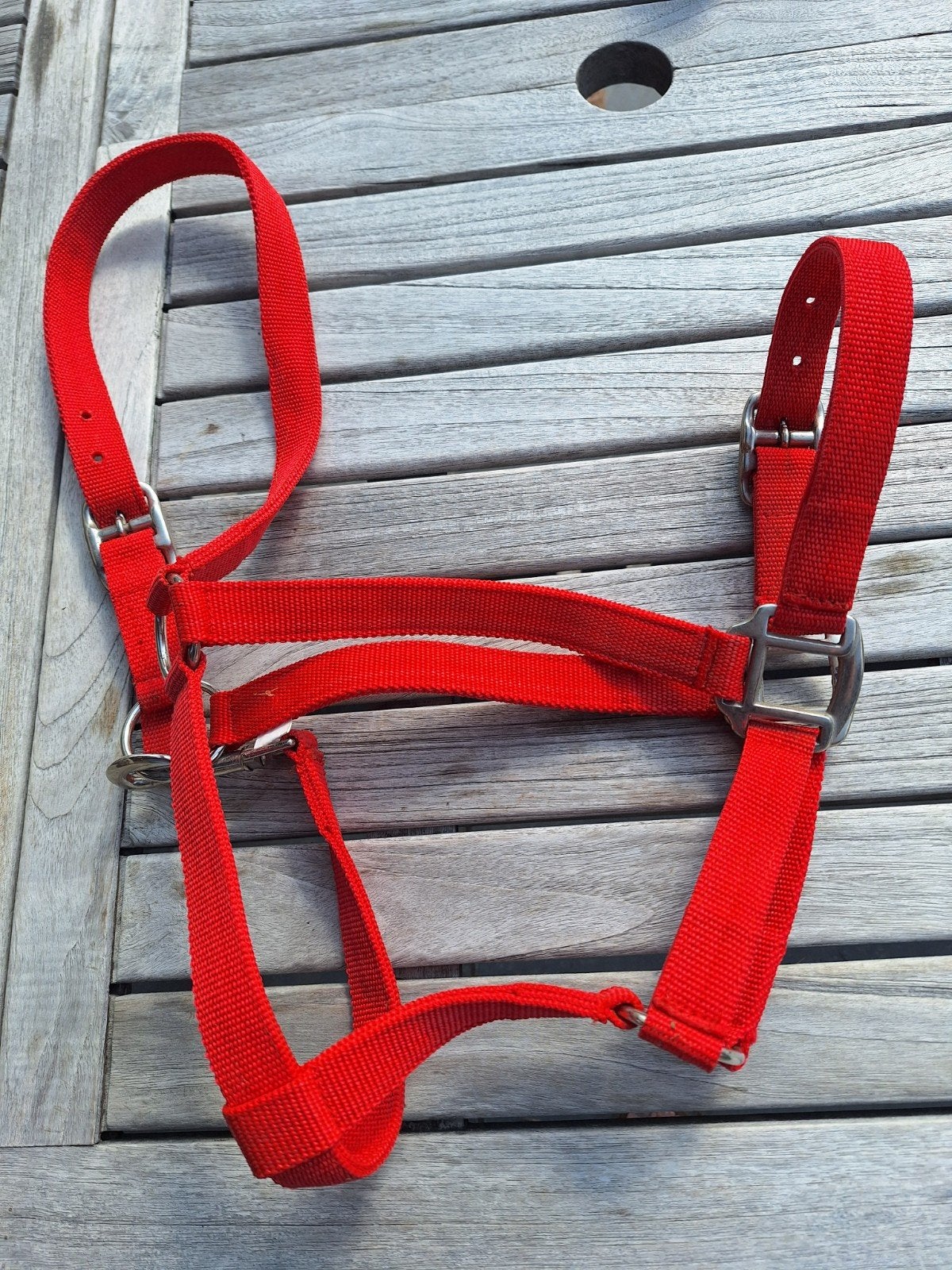 rood halster, Ophalen, Rood, Halster