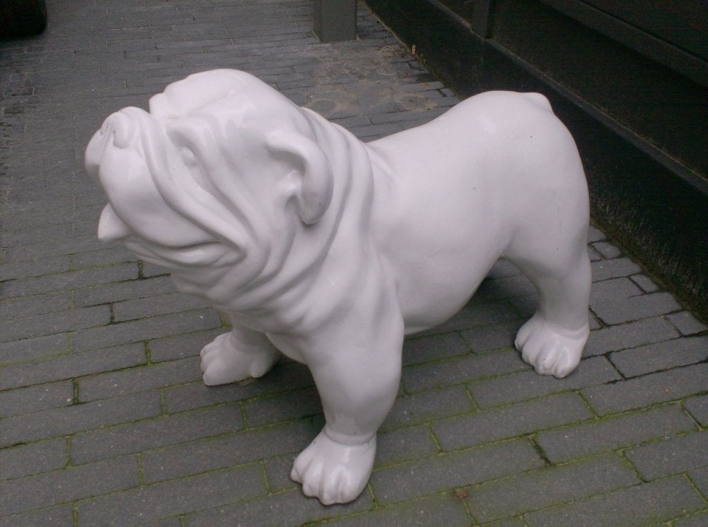mooie hond buldog  nieuw, Ophalen of Verzenden, Dierenbeeld