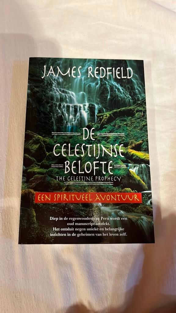 James Redfield - De Celestijnse belofte, Enlèvement ou Envoi, James Redfield